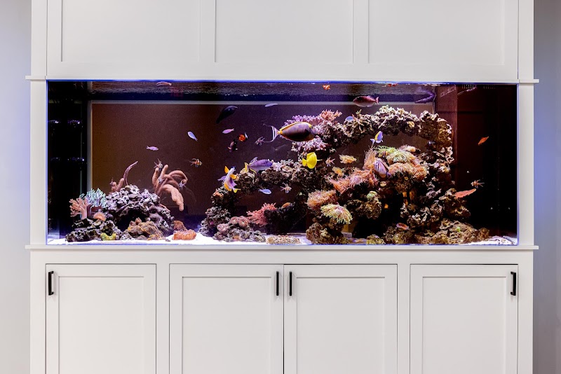 Something Fishy, Inc. - Photo 5
