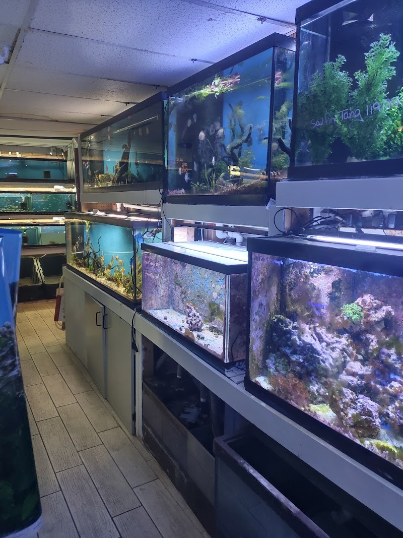 Fish Bowl Aquarium & Pet Mart - Photo 3