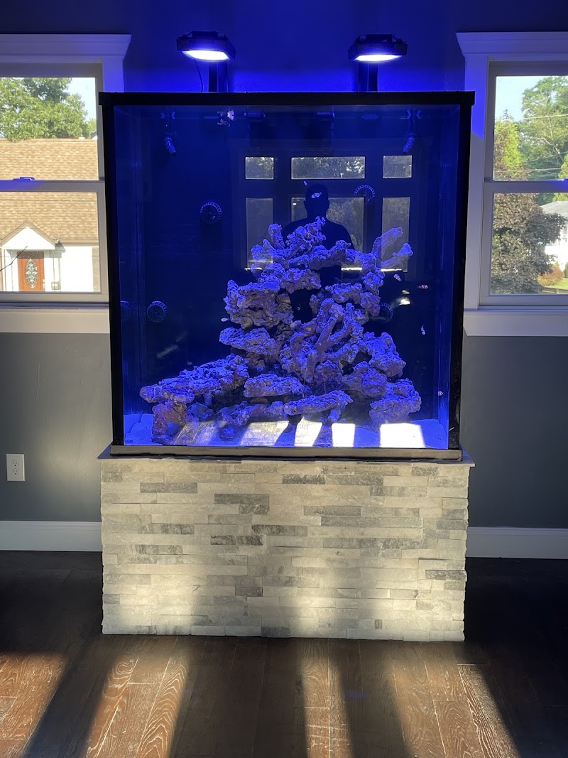 Fish Bowl Aquarium & Pet Mart - Photo 5