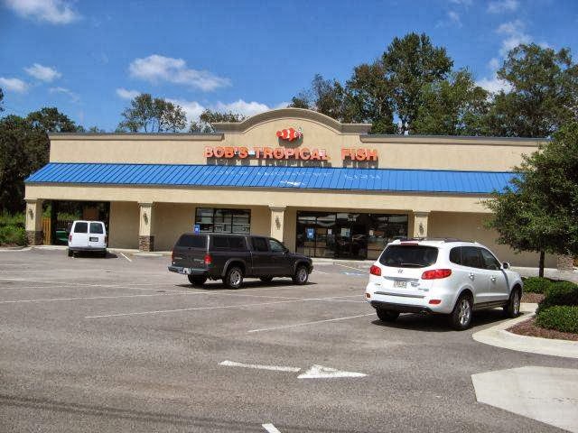 Bob's Tropical Fish - Photo 1