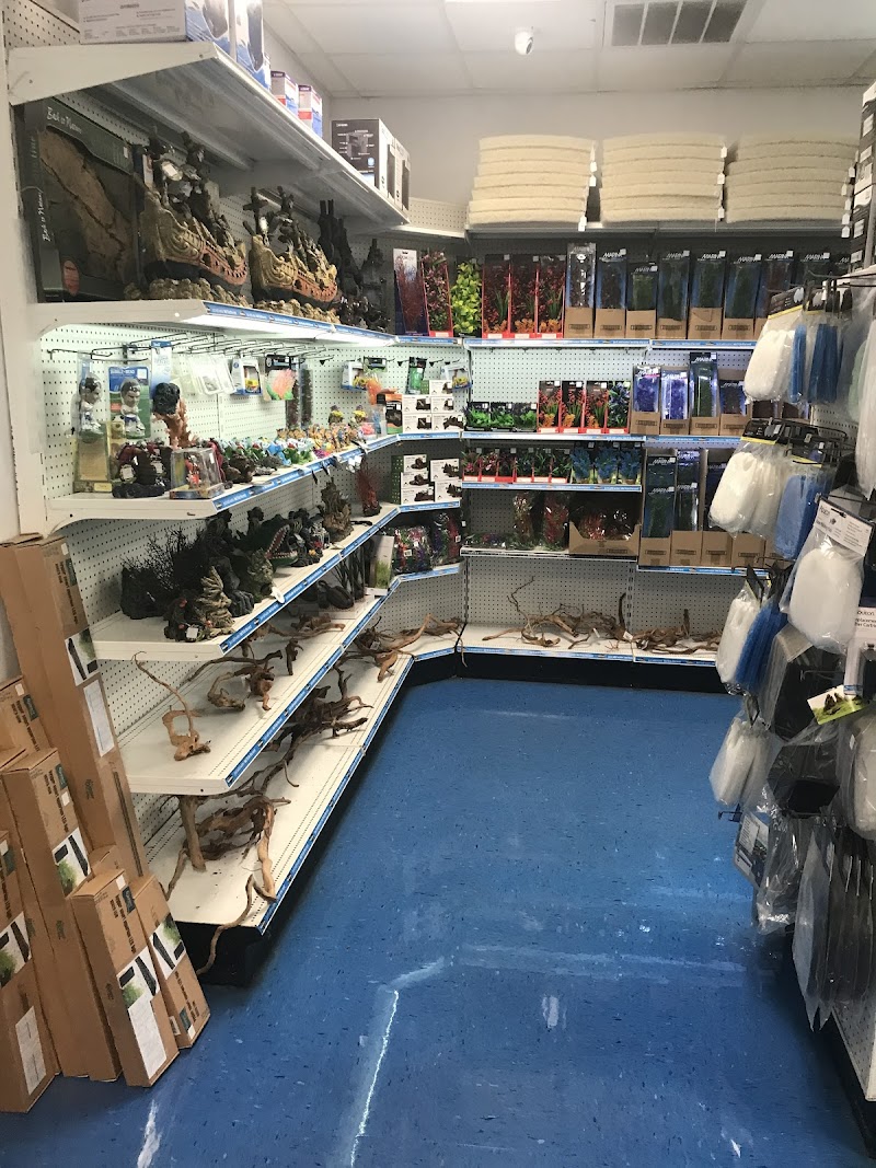 Bob's Tropical Fish - Photo 5