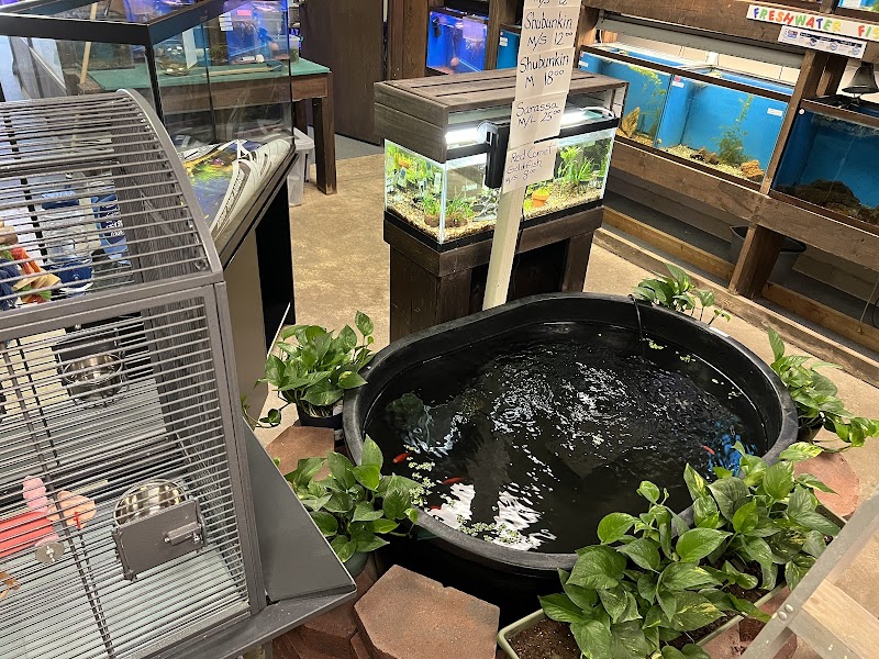 Ethan's Exotic Pets & Aquatics (formerly Aquatic Planet) - Photo 2