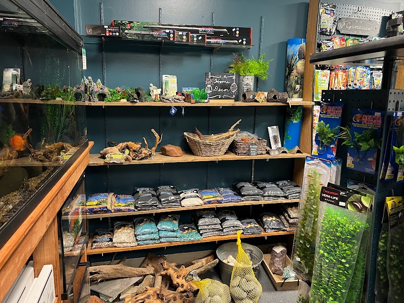 Ethan's Exotic Pets & Aquatics (formerly Aquatic Planet) - Photo 3