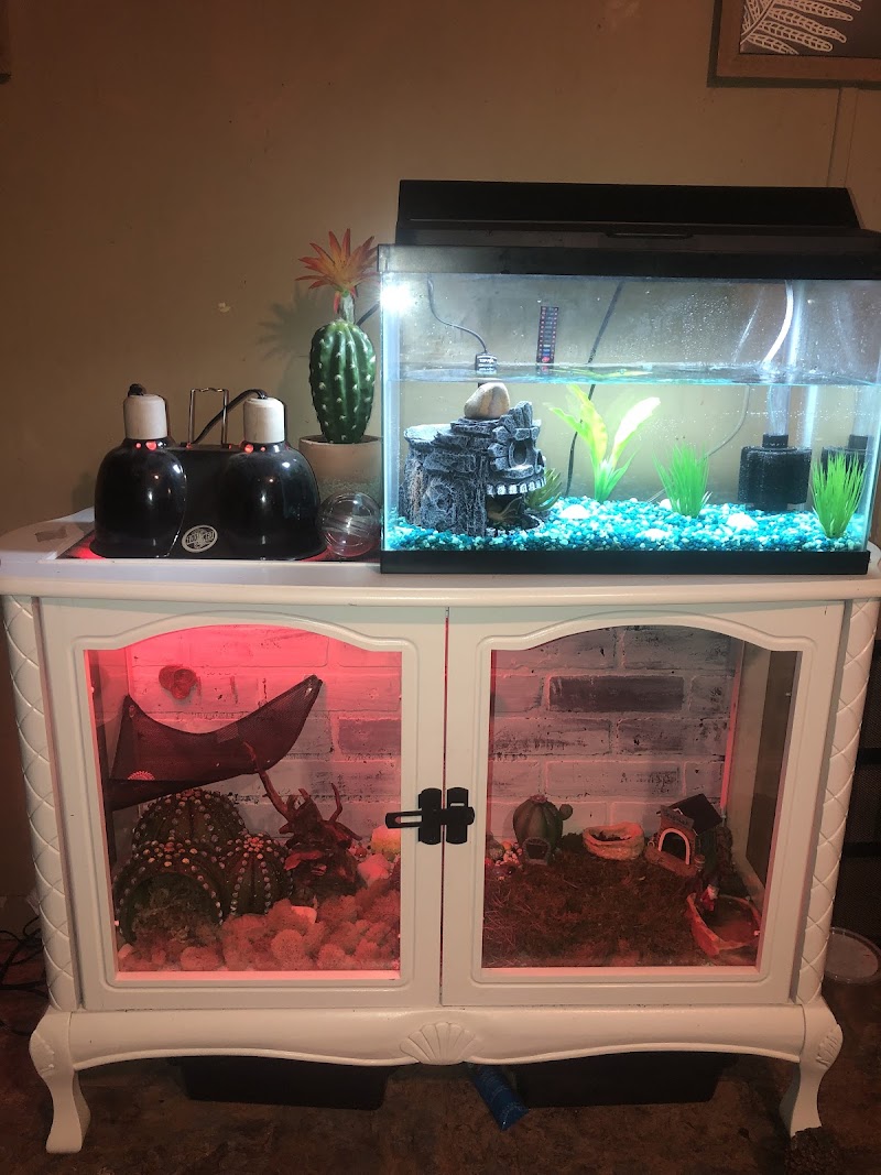 Ethan's Exotic Pets & Aquatics (formerly Aquatic Planet) - Photo 5