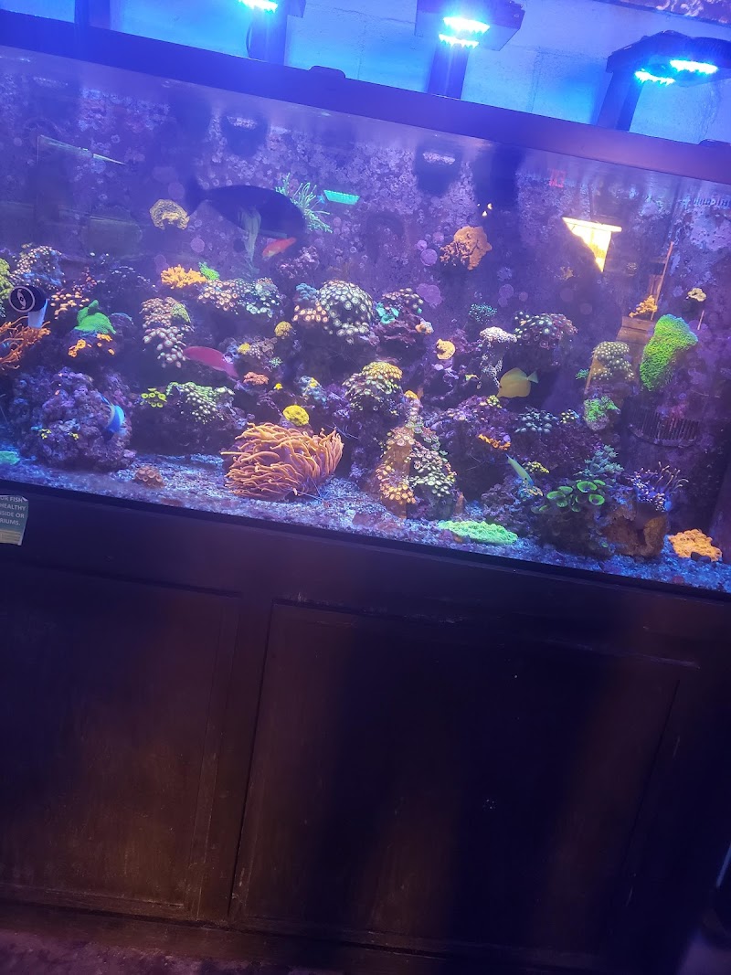 Palmetto Reef - Photo 1