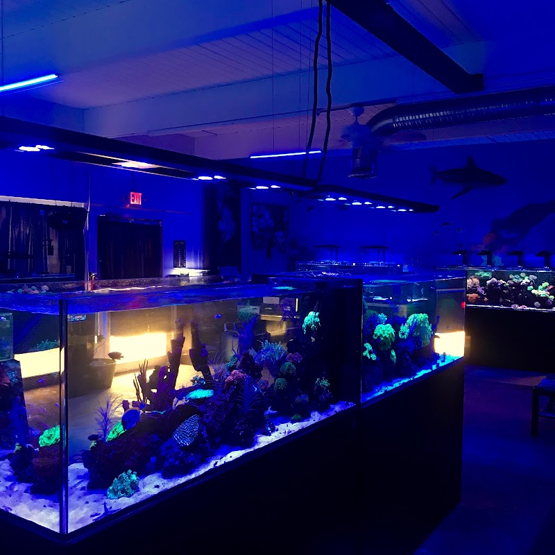 Palmetto Reef - Photo 3