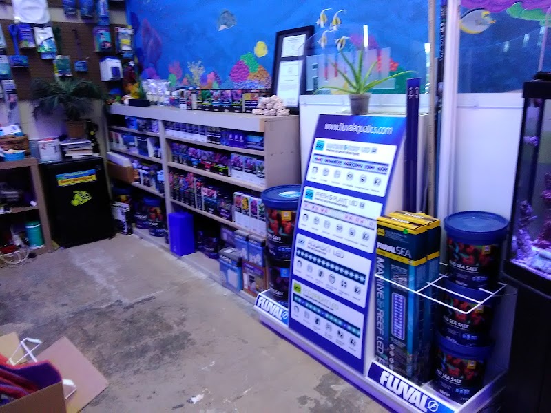 Palmetto Reef - Photo 4