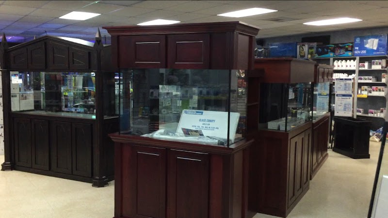 Fishy Business - Photo 2