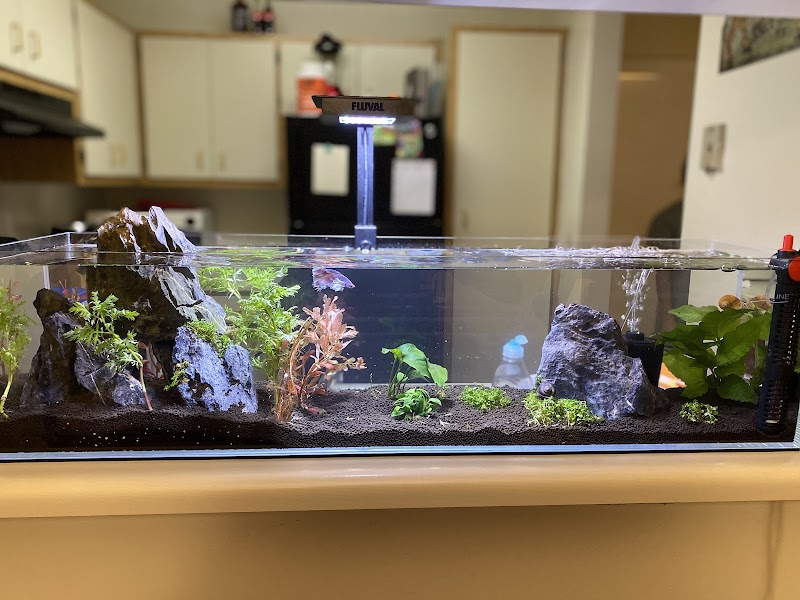 Fishy Business - Photo 3