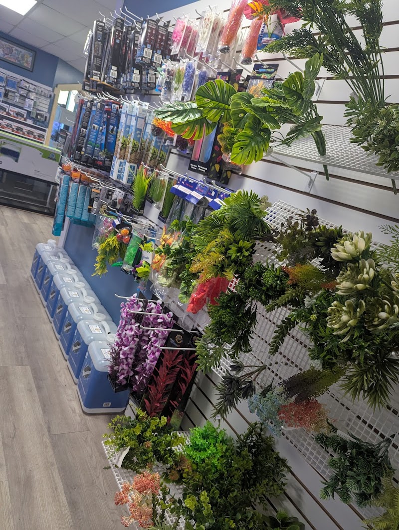 Fishy Business - Photo 4