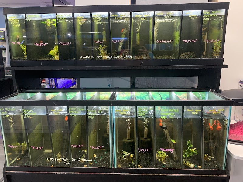 Fishy Business - Photo 5