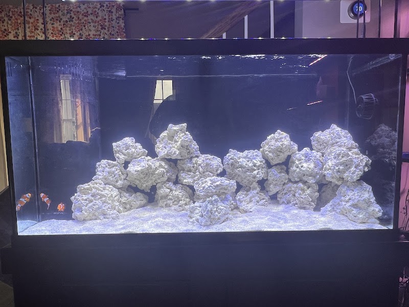 Zac's Reef - Photo 3