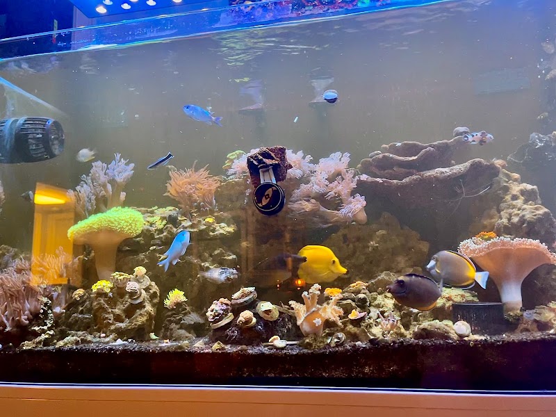 Zac's Reef - Photo 5