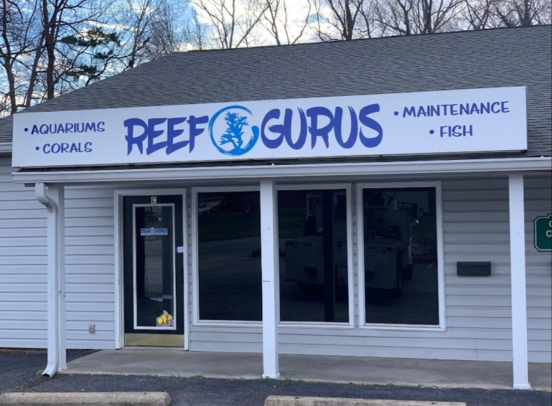 Reef Gurus - Photo 1