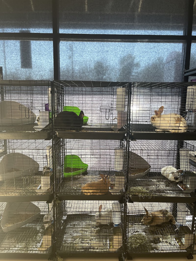 Under The Sea Aquatics - Photo 2