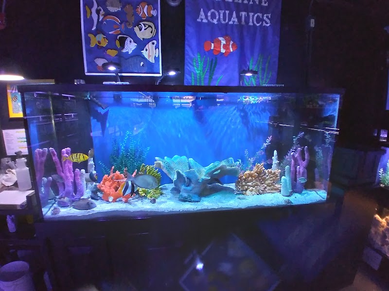 Tideline Aquatics - Photo 3