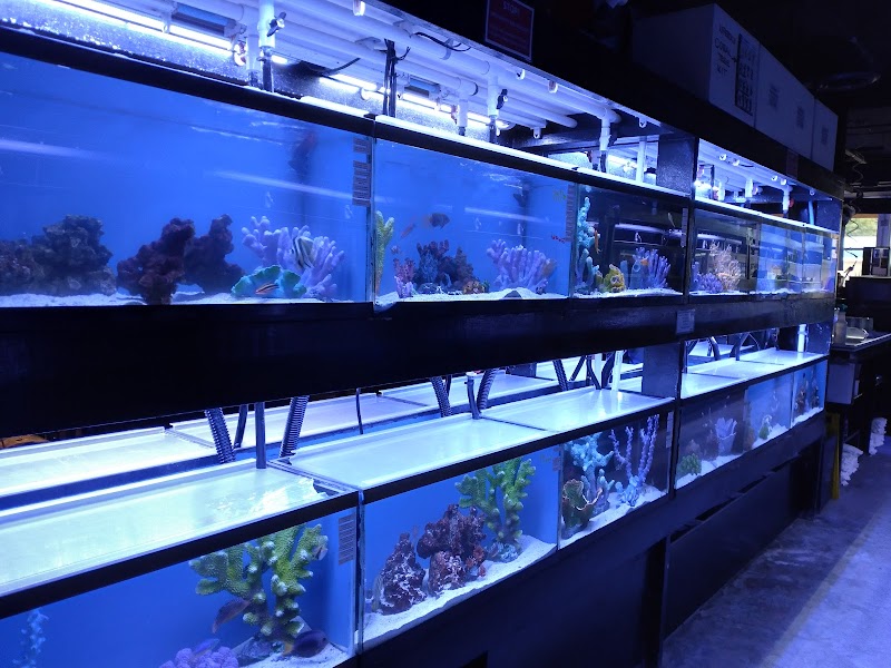 Tideline Aquatics - Photo 5