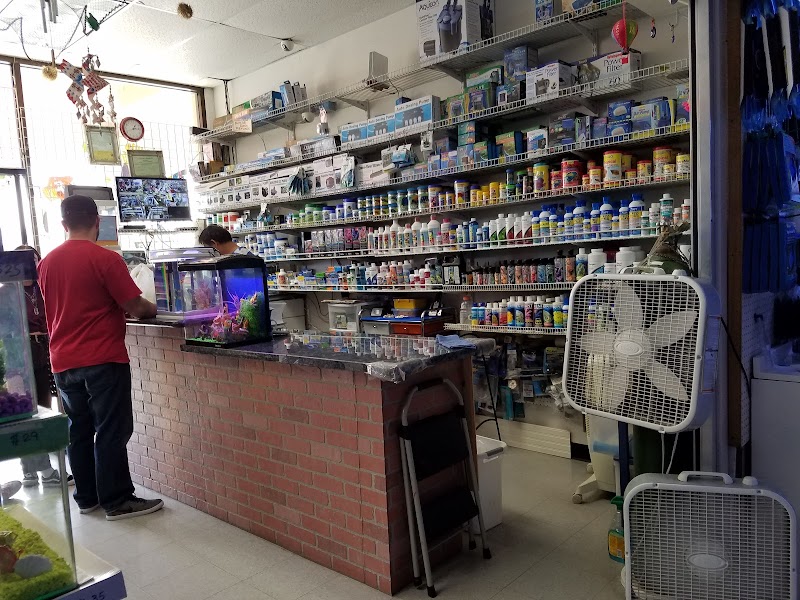 Happy Fish Pets - Photo 2