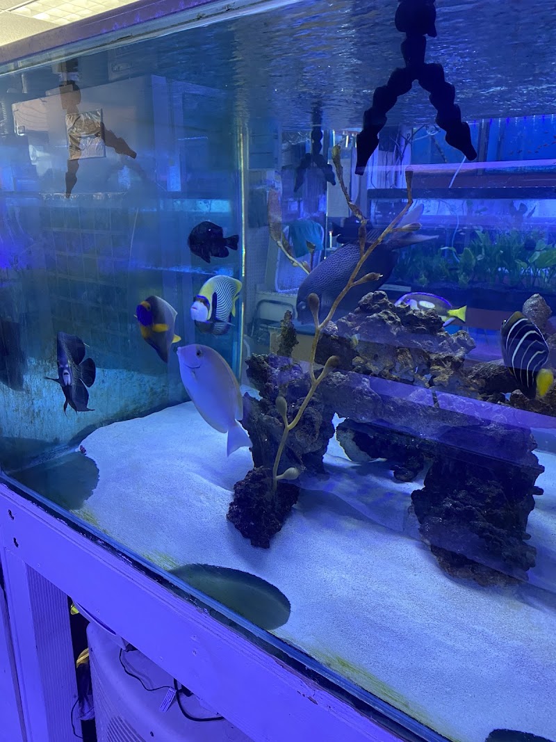 Happy Fish Pets - Photo 3