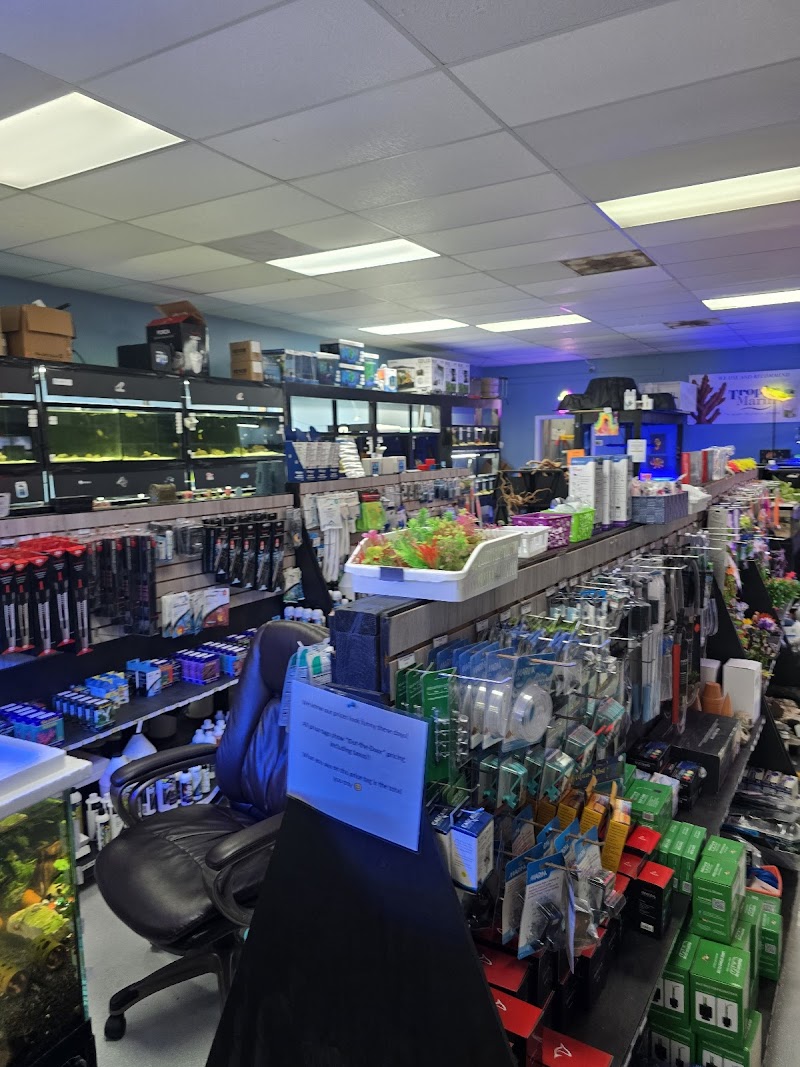 Ocean Realms - Photo 3