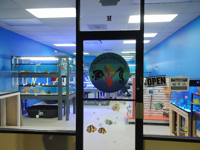 Ocean Realms - Photo 4