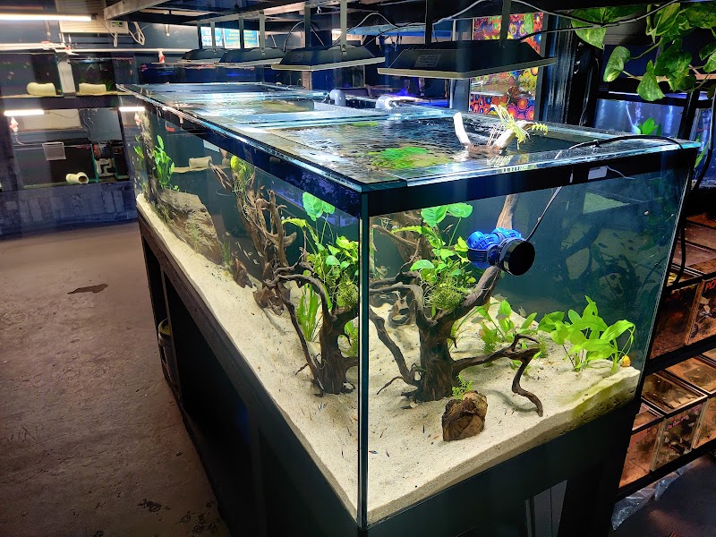 Aquaman's Coral Cave - Photo 1