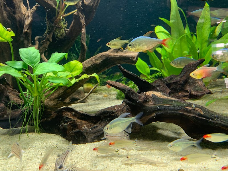 Aquaman's Coral Cave - Photo 2