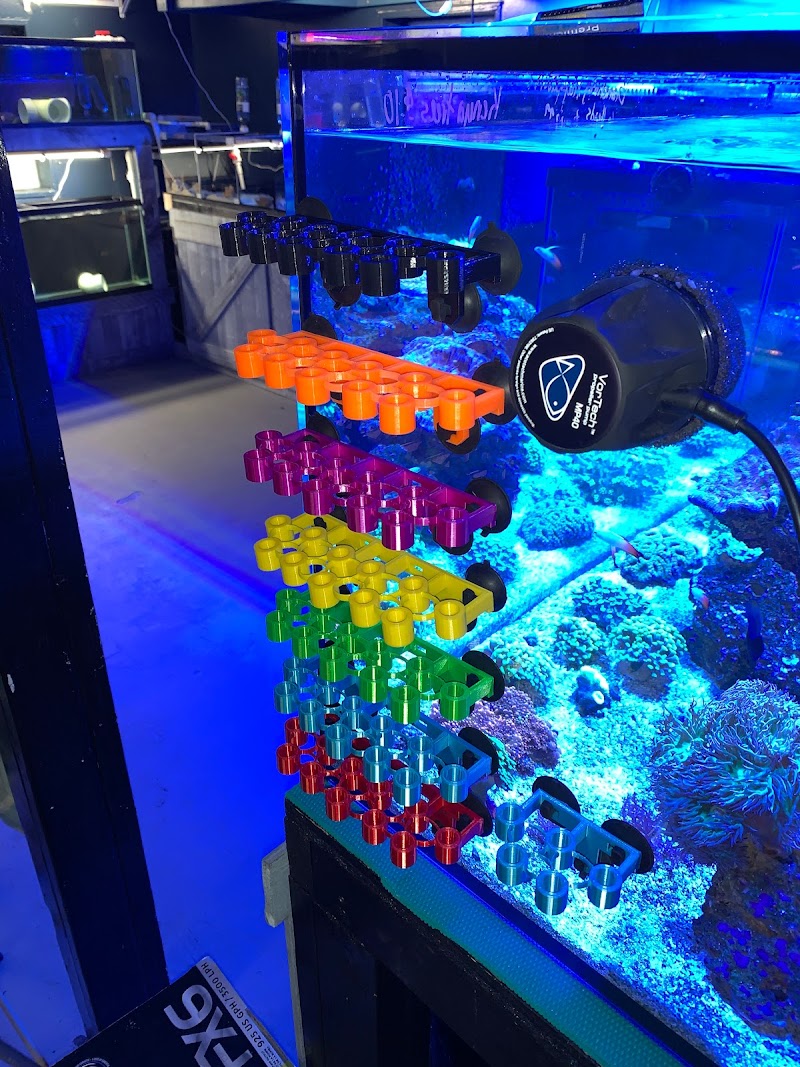 Aquaman's Coral Cave - Photo 4