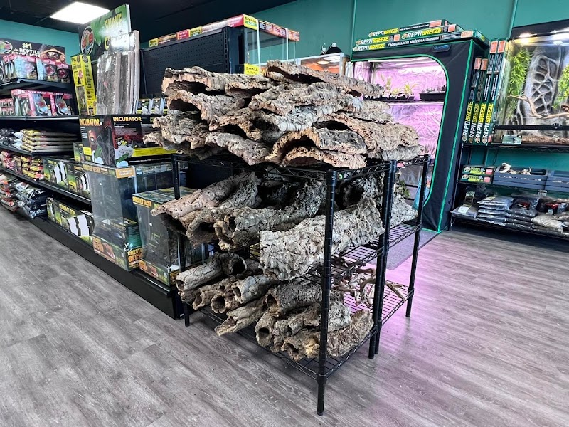 The Creature Room - Photo 2