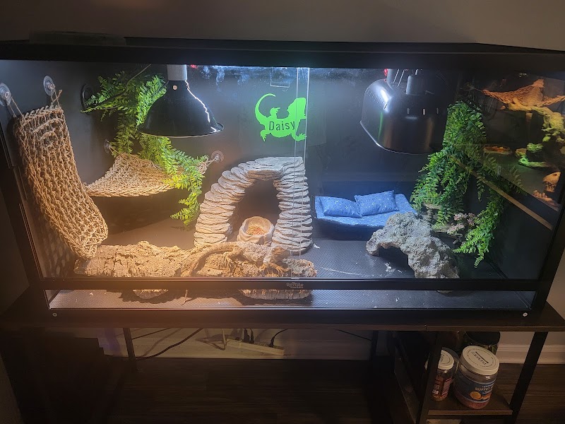 The Creature Room - Photo 3