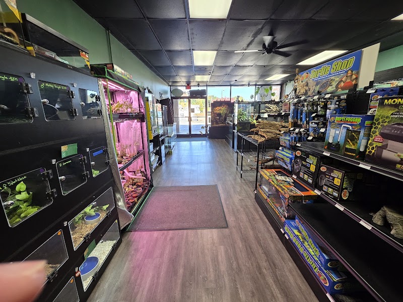 The Creature Room - Photo 5