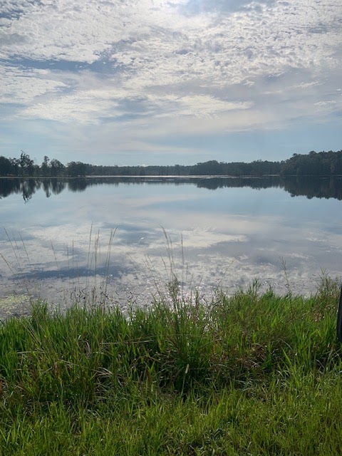 Southland Fisheries - Photo 3