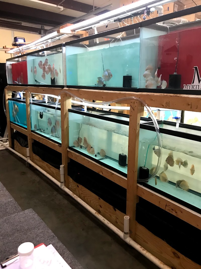 Myrtle Beach Discus - Photo 1