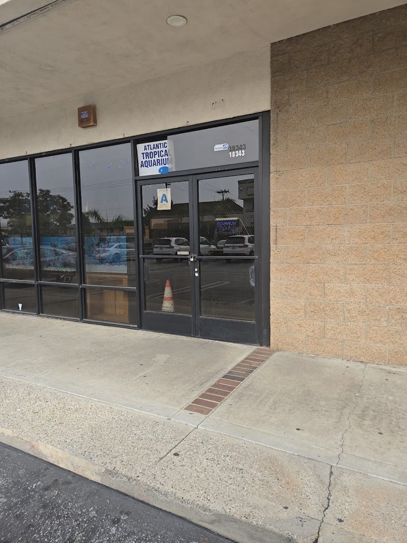 Atlantic Tropical Aquarium - Photo 1