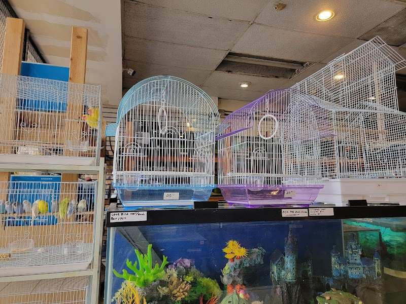 Atlantic Tropical Aquarium - Photo 2