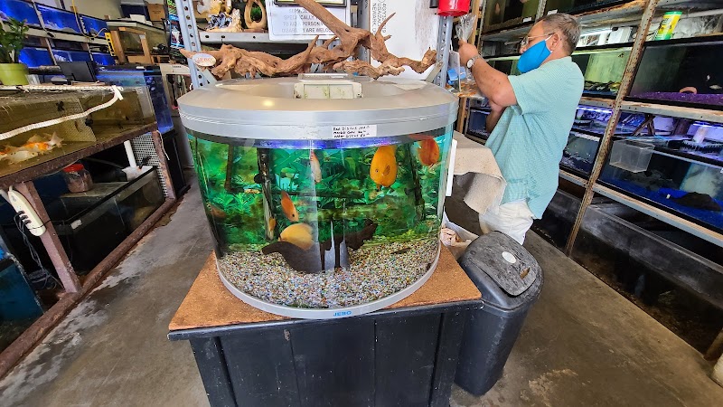 Atlantic Tropical Aquarium - Photo 4