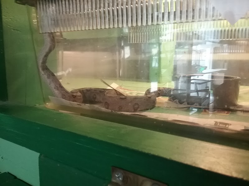 Critter Castle - Photo 1