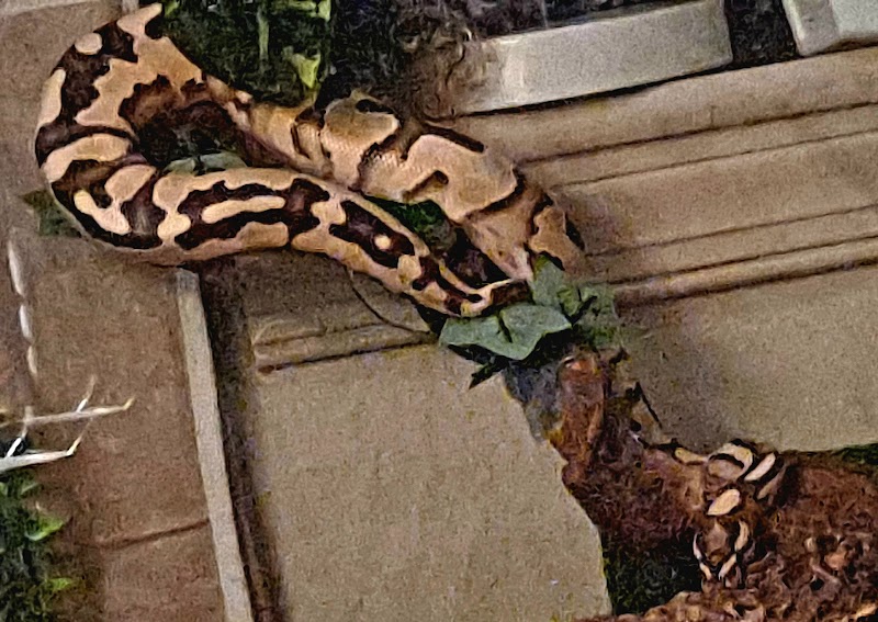 Critter Castle - Photo 2