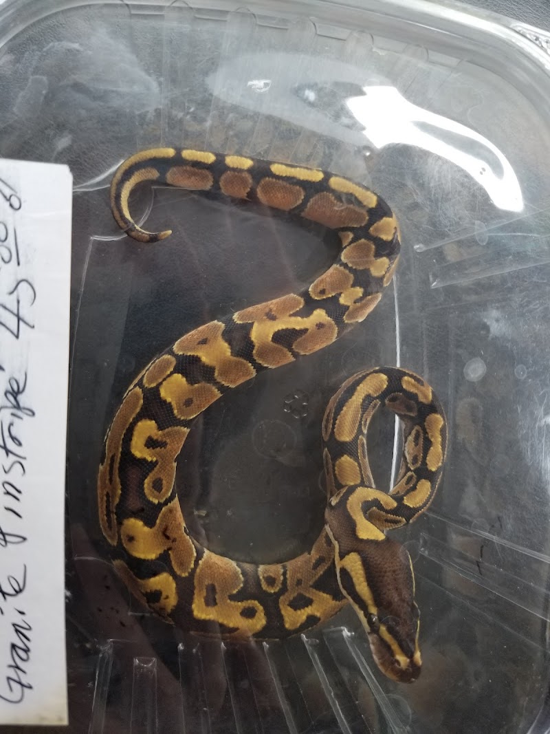 Critter Castle - Photo 3