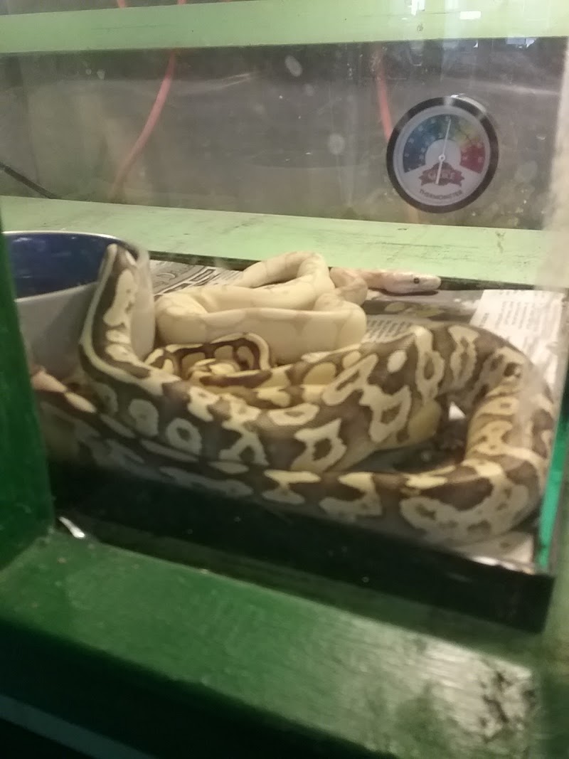 Critter Castle - Photo 5