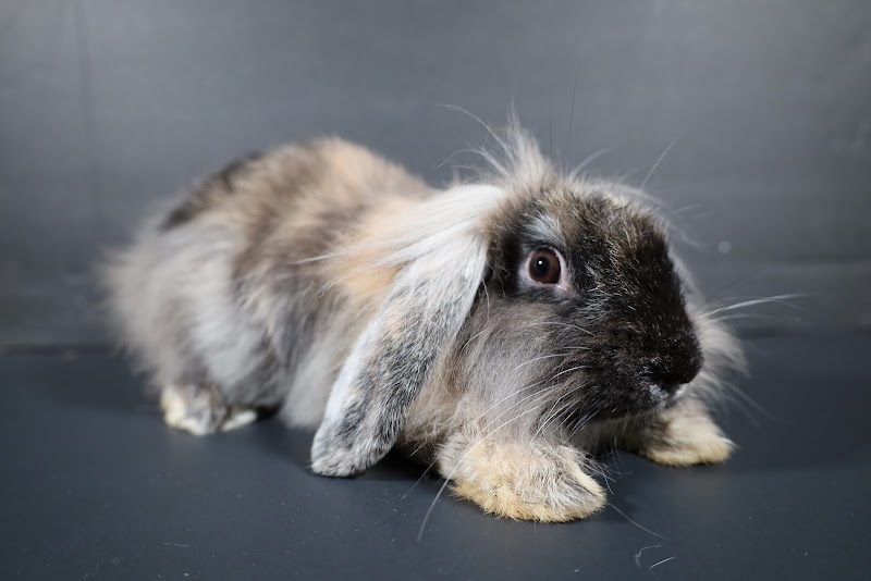 Caleb's Aquatics - Photo 5