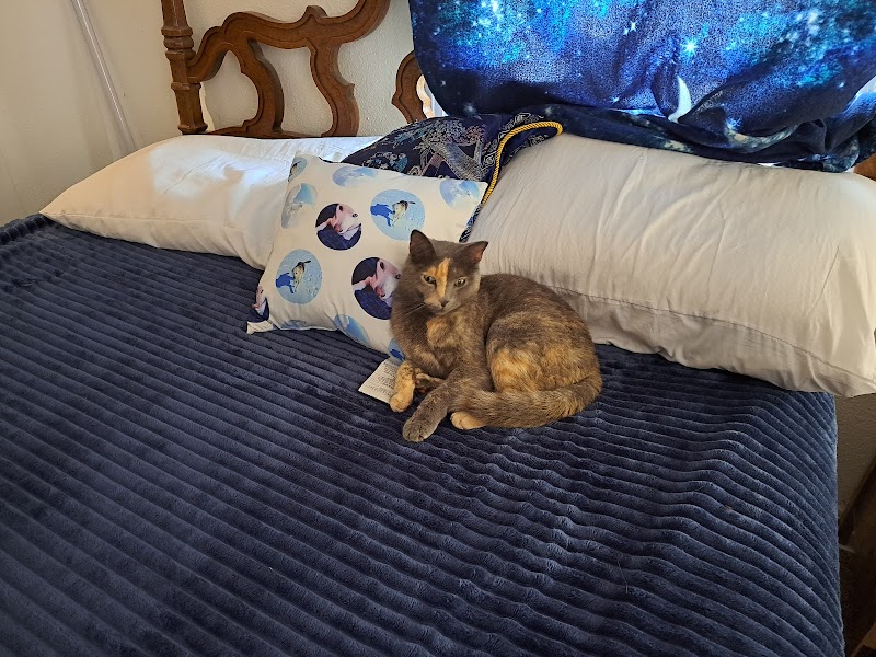 Pet Pantry - Photo 2