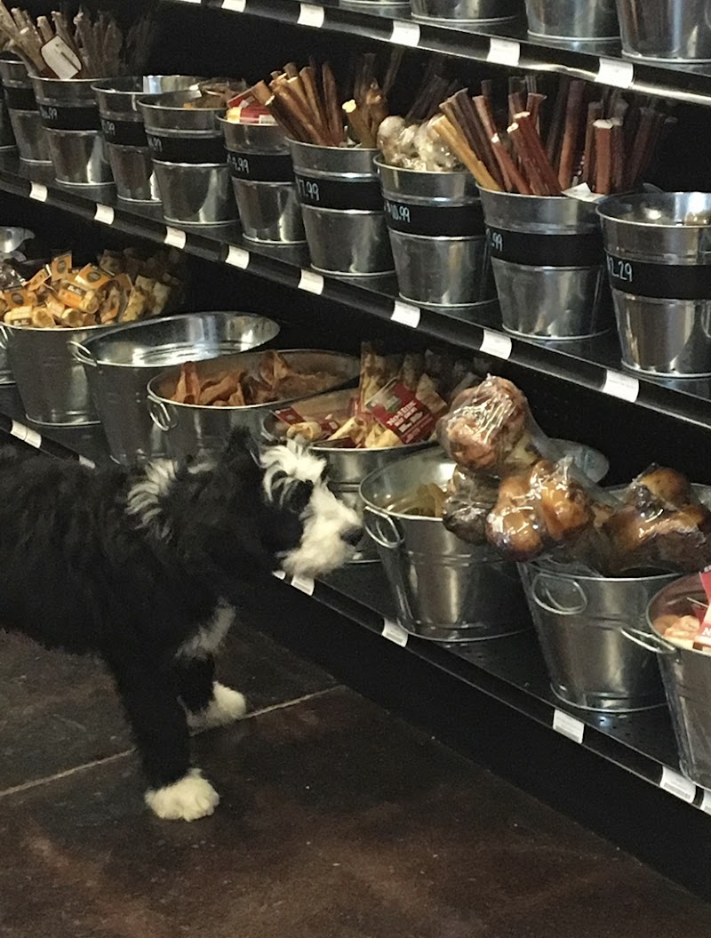 Woofs and Waves - Pet & Aquarium Supplies - Photo 2