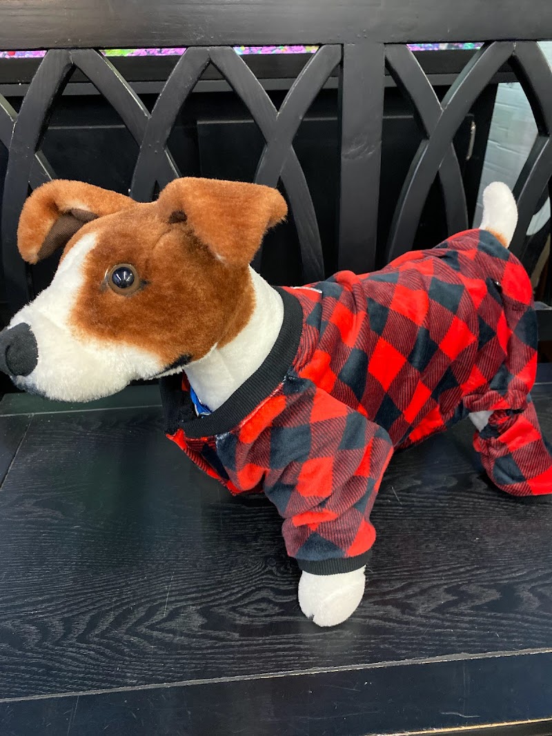 Woofs and Waves - Pet & Aquarium Supplies - Photo 5