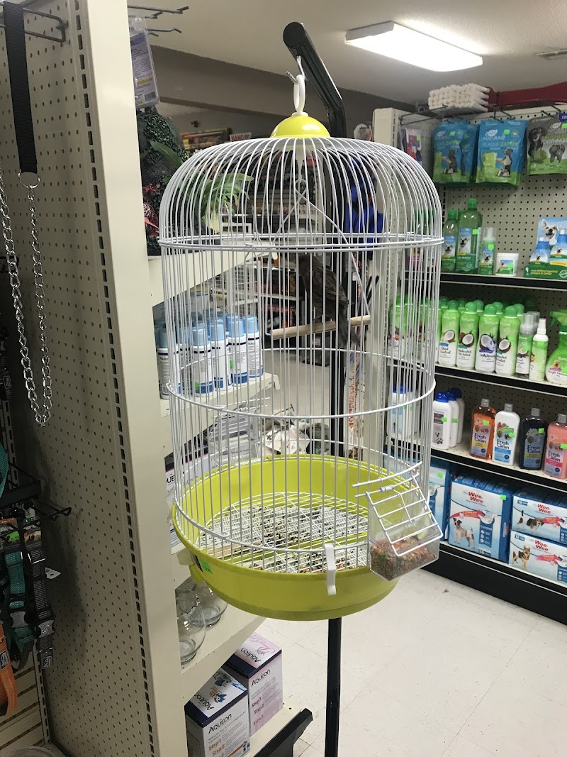 Mini-Critters - Photo 2