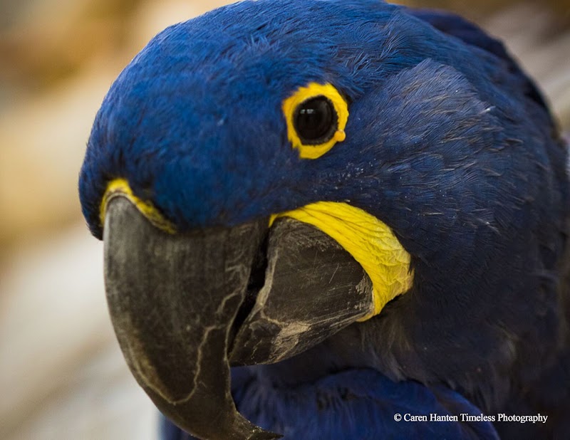 Critter Mart & More - Photo 2