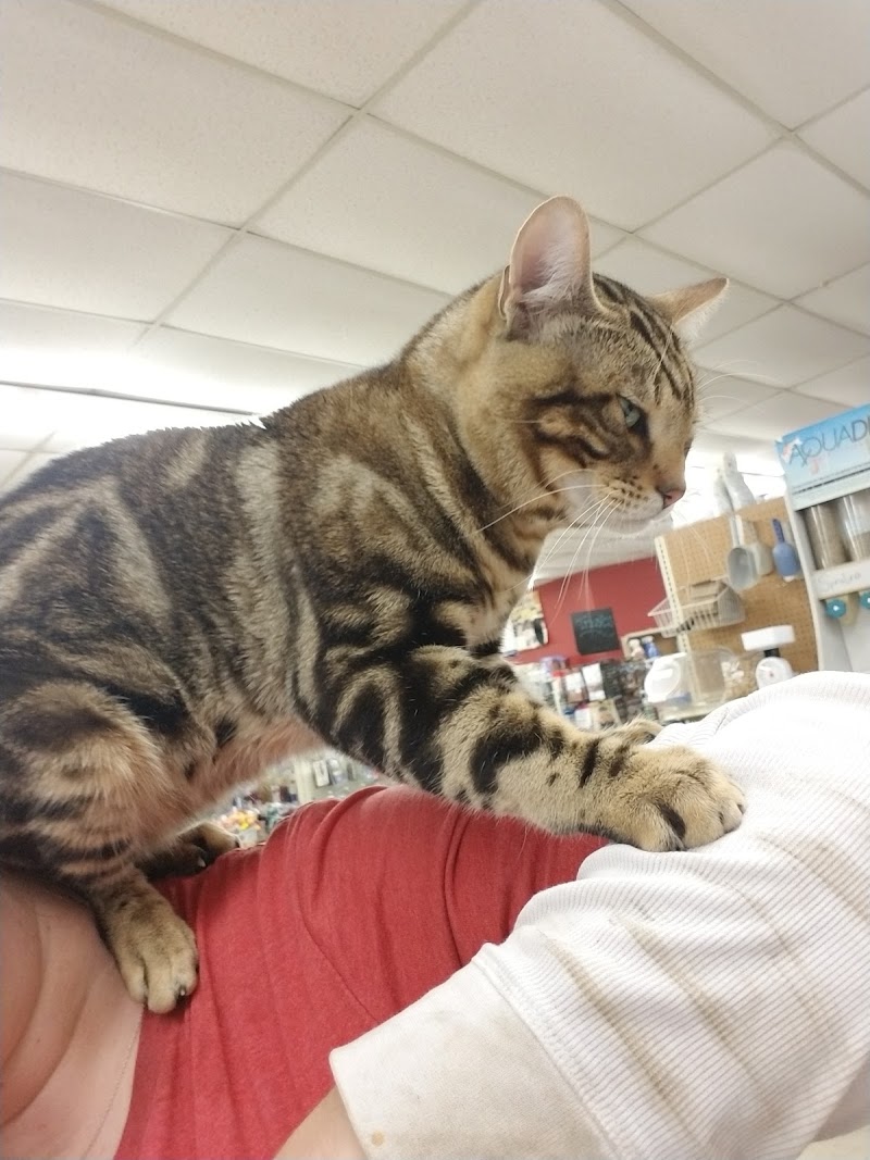 Critter Mart & More - Photo 5