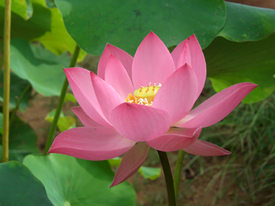 Grassland Aquatics - Photo 2