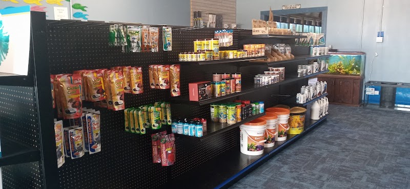 Aquarium Workshop - Photo 2