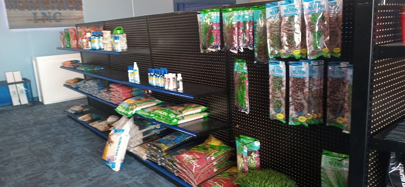 Aquarium Workshop - Photo 4